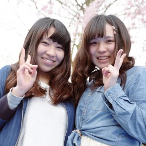 2016_sakura